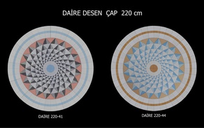 Daire 220-4