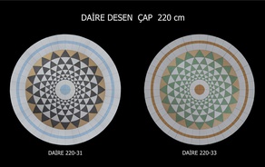 Daire 220-3